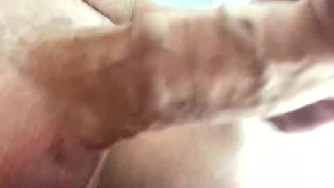 Randy online show from October 20, 7:08 pm