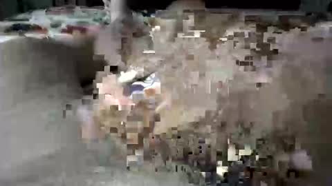 whitelava_4u online show from December 17, 10:22 am