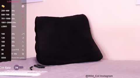 Snapshot of wild_col chatting on February 27, 10:11 am wild_col online show from February 27, 10:11 am