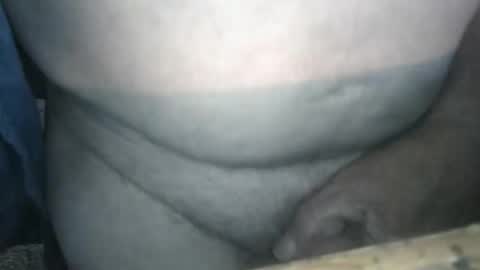 wilhejo2 online show from November 29, 9:33 pm