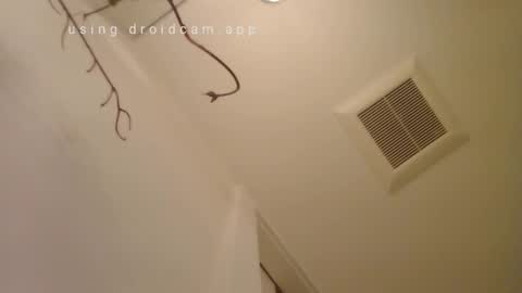 willzee8 online show from February 23, 9:44 am