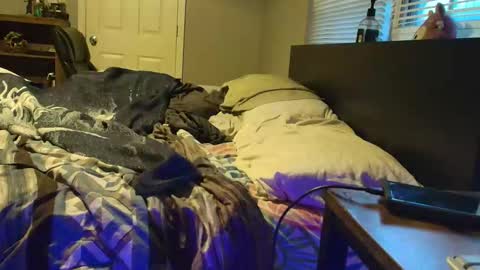 witchbitchmommy online show from April 23, 11:07 am