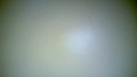 witichrista online show from November 11, 12:40 pm