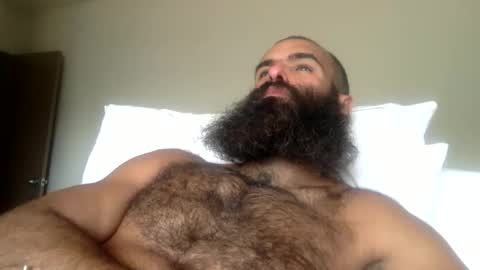 woof_wolf37 online show from April 16, 10:56 pm