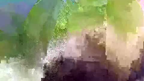 Snapshot of wowizowi chatting on October 10, 11:27 am Wowizowi online show from October 10, 11:27 am