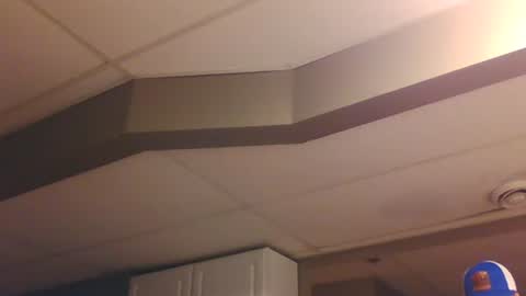 BONER DONOR online show from January 7, 6:14 pm