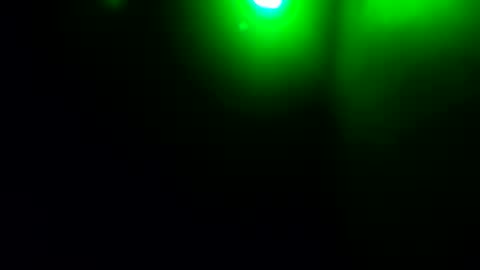 BONER DONOR online show from October 5, 10:12 am