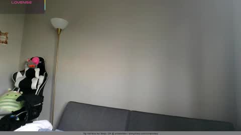  charlotte euphoria  online show from October 13, 9:17 pm