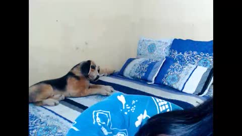 Miss Ria online show from November 9, 6:21 pm