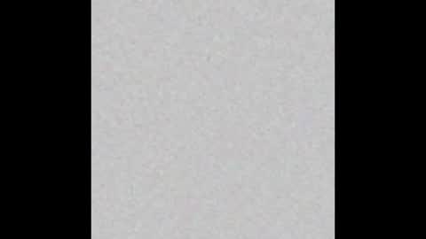 JSSD online show from March 4, 9:17 am