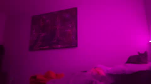 Harper  online show from November 27, 1:13 am