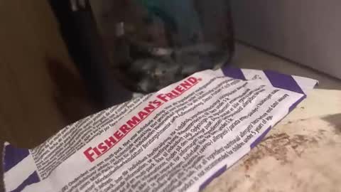 xvoyeur2011x online show from April 3, 7:32 pm