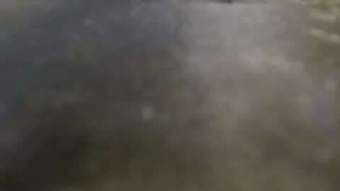 cum4you online show from May 1, 3:22 am