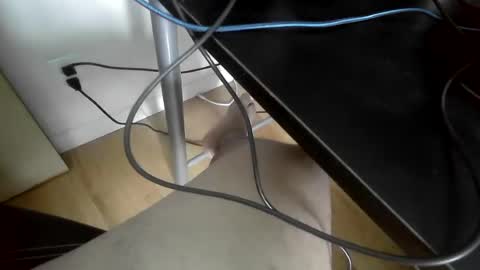 xxenryxx92 online show from June 15, 4:21 pm