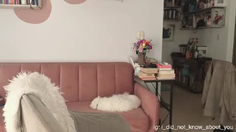 you_are_my_neighbor online show from June 26, 9:53 pm