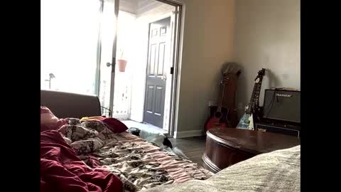 kindahorny online show from October 5, 8:27 pm