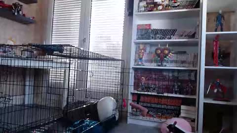 Owned by Hell On Heels online show from March 7, 9:09 am