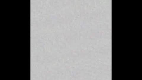 Mary online show from March 29, 1:13 pm