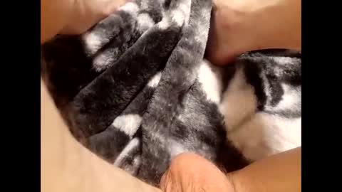 youwanttolickme online show from December 5, 10:36 am