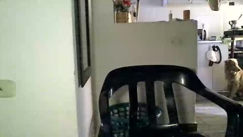 Zafiro online show from June 2, 12:29 pm