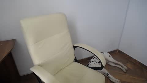 KAAL online show from December 12, 4:21 pm