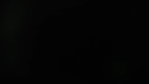 KAAL online show from December 11, 12:12 pm