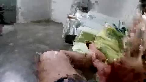 zitojose73 online show from February 13, 2:12 am