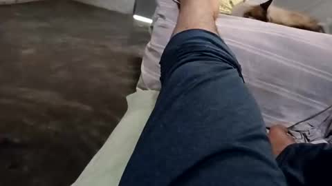 zitojose73 online show from October 8, 6:47 pm