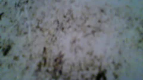 zomma44 online show from August 5, 3:25 am