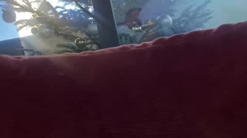 Velesk online show from December 8, 1:36 pm