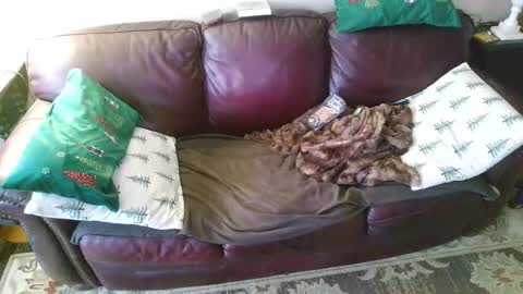 Jesse online show from February 2, 10:17 pm