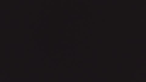 ZURY   online show from October 22, 11:34 am